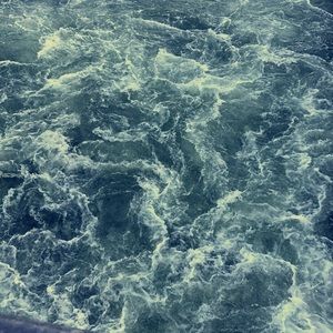 Meet your Posher, Bridgett